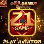 Z1 Game
