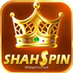 Shah Spin Game
